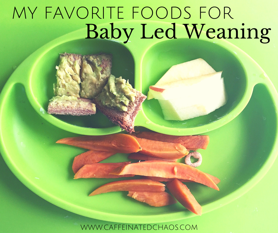 baby led weaning on the go