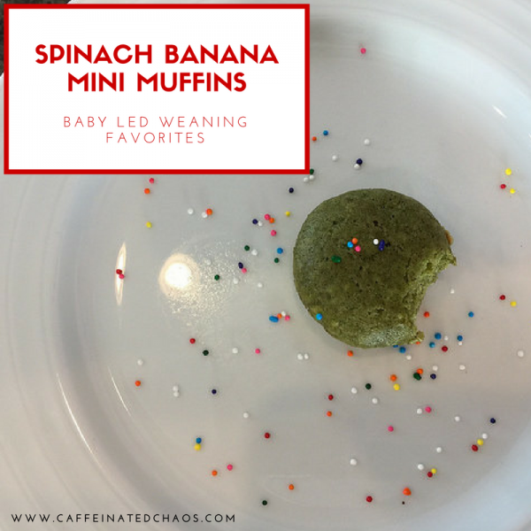 Baby Led Weaning Spinach Banana Mini Muffins Caffeinated Chaos